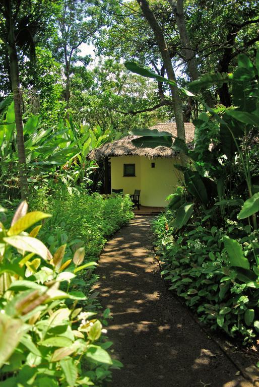 Moivaro Coffee Lodge Arusha Room photo